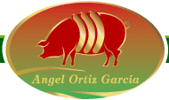 Angel Ortiz Garcia S.L.